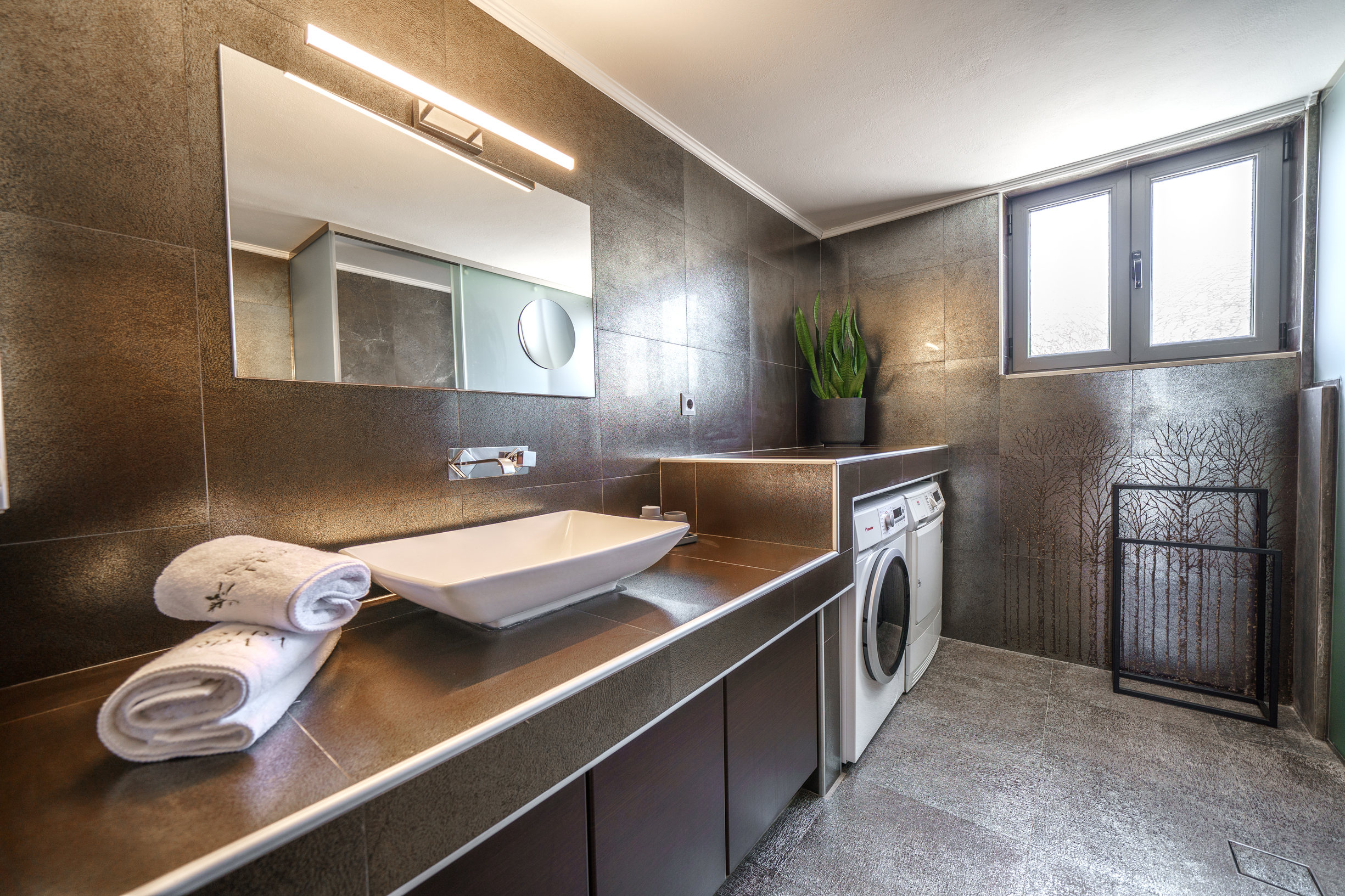 The ground floor shared bathroom with washing machine and dryer.